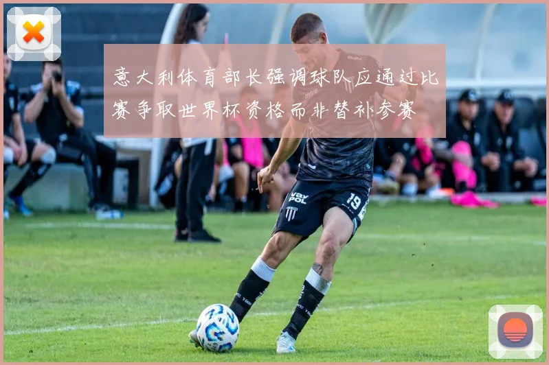 意大利体育部长强调球队应通过比赛争取世界杯资格而非替补参赛